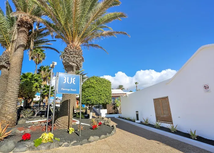 Playa Flamingo Margarita Коста Бланка